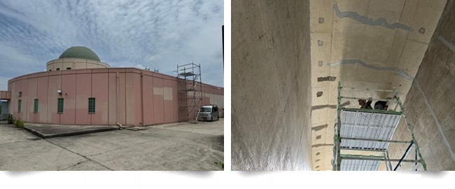 �L�����������r���C