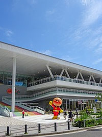 �A���p���}�����ǂ��~���[�W�A�����l