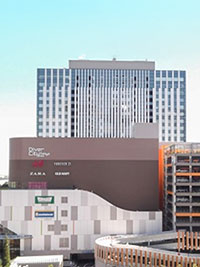 �_�C�o�[�V�e�B�����v���U