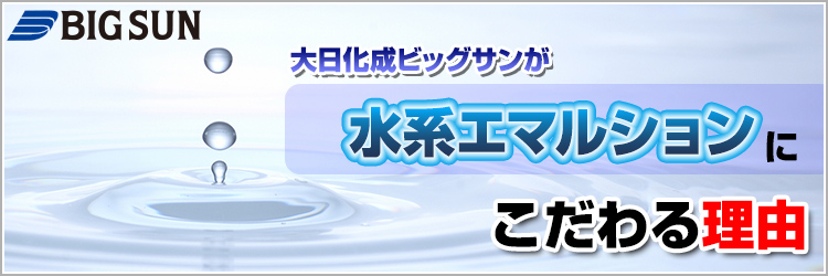 �r�b�O�T�������n�G�}���V�����ɂ�����闝�R