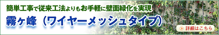 【新商品】壁面緑化に新たなラインナップ登場!「霧ケ峰(ワイヤーメッシュタイプ)」