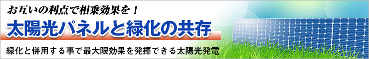 太陽光パネルと緑化の共存