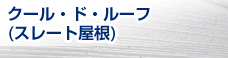クール・ド・ルーフ(スレート屋根)SR工法