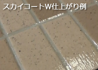 �X�J�C�R�[�gW�d�オ���ʐ^