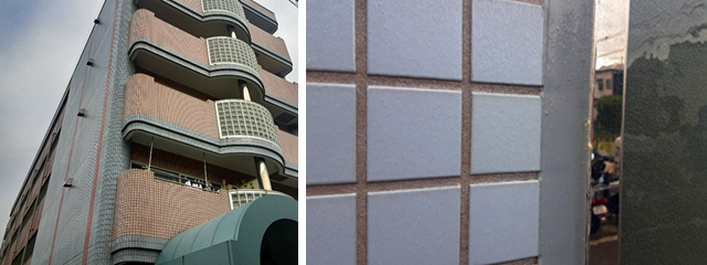 スカイコートW施工後2年目現場