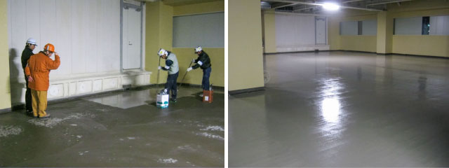 ACE�H�@�{�H��