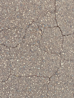 �A�X�t�@���g���Ђъ��ꂵ�Ă���