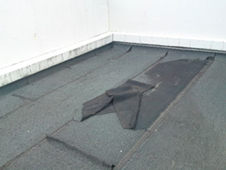 �A�X�t�@���g�h��������ł����3