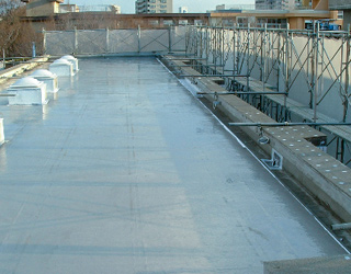 �{�H�󋵁@����