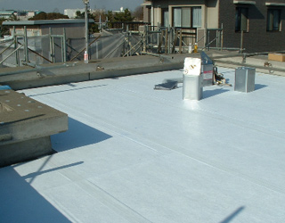 �{�H�� RX�V�[�g�\�t