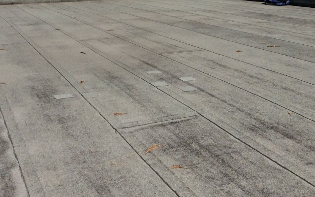 �A�X�t�@���g�h��������ł����