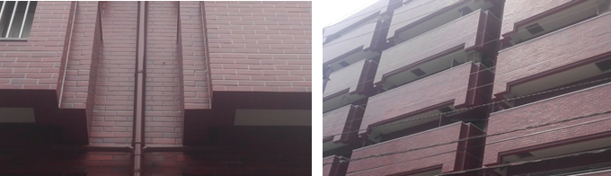 �X�J�C�R�[�gW �ŊO�ǉ��C�����P�N��ʐ^����2