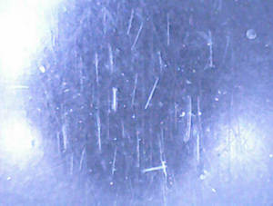 �t�@�C�o�[�������g��ʐ^