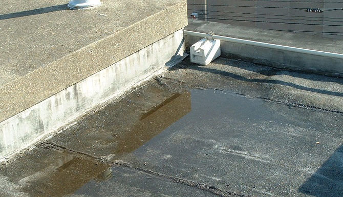 �����܂��ʐ^