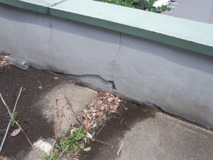 �r��ʂĂ�����ʐ^1