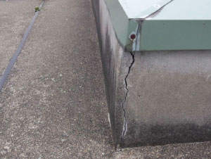 �r��ʂĂ�����ʐ^2