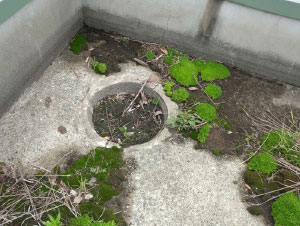 �r��ʂĂ�����ʐ^3