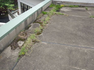 �r��ʂĂ�����ʐ^4