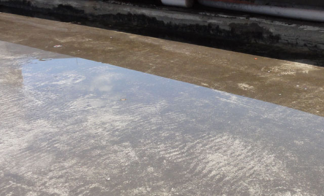 �r�����l�܂萅�����܂��Ă���