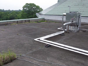 �G���Ƃ�������