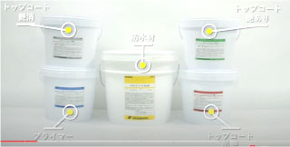 �X�J�C�R�[�gW�׎p