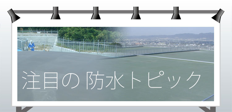 �����̒��ږh���H�@