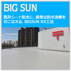 �����V�[�g�h���ɁA�őP�Ȗh�����C�������Ȃ���ABIGSUN RX�H�@