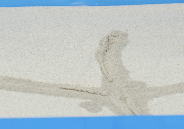 �������ɗ���Ă���ʐ^