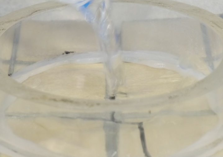 ������Ђъ���ʂɐ��𒍂��ʐ^