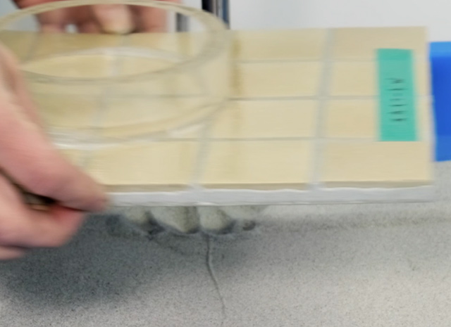 �^�C�����悯�Ă���ʐ^