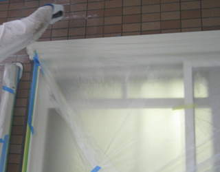 �{�H���ʐ^