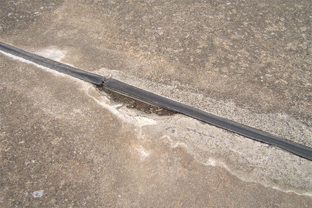 �ڒn��C��ɏ���ł���ʐ^