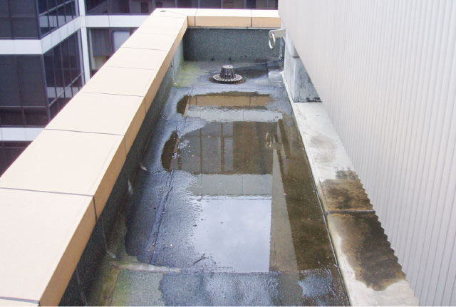劣化により防水の上に水がたまっている例