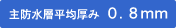 ��h���w���ό���0.8�~��