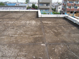 �^�r������i���C�O�j