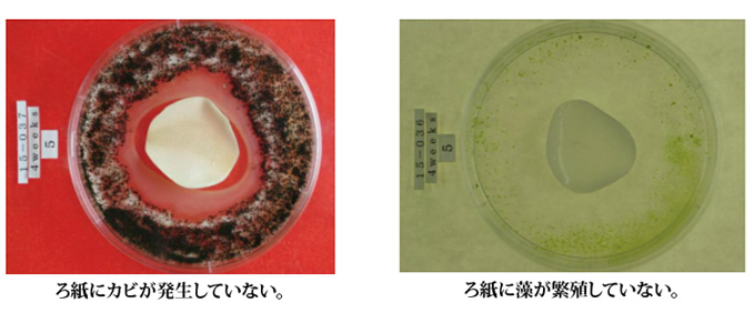 �h�J�r�h�����ʐ^