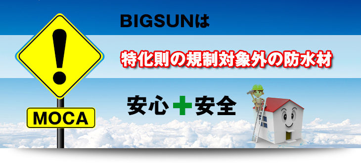 �r�b�O�T���͈��S���S�E�������̋K���ΏۊO�̖h����