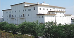 �����s�O���򐅏�