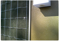 �[���Ɍ��؂�ނ͍�����������܂�