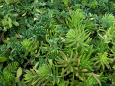 �Z�_���ސA�� ���L�V�R�}���l���O�T