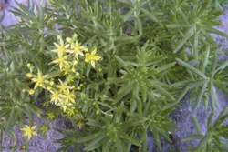 �Z�_���ސA�� ���L�V�R�}���l���O�T