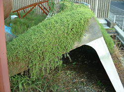 �Z�_���ސA�� �c���}���l���O�T