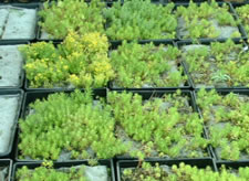 �Z�_���Ή��E�J�ԕi